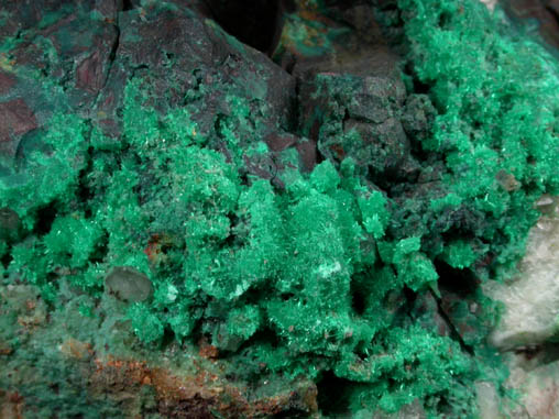 Dioptase from Mystery Hill Mine, La Paz County, Arizona