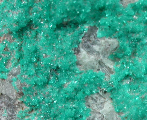 Dioptase from Mystery Hill Mine, La Paz County, Arizona