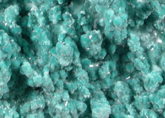 Aurichalcite from Silver Bill Mine, Courtland-Gleeson District, Cochise County, Arizona