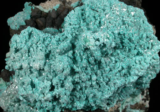 Aurichalcite from Silver Bill Mine, Courtland-Gleeson District, Cochise County, Arizona