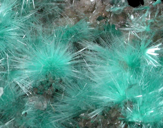 Aurichalcite from 79 Mine, Banner District, near Hayden, Gila County, Arizona