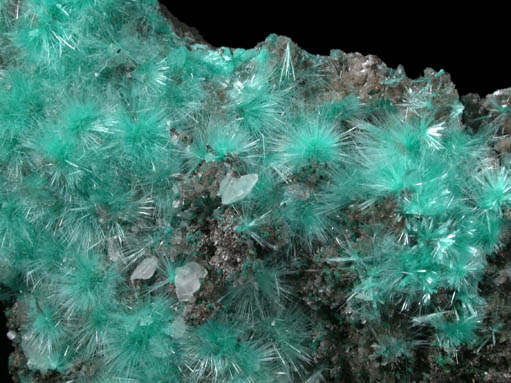 Aurichalcite from 79 Mine, Banner District, near Hayden, Gila County, Arizona