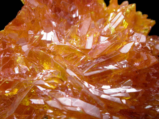 Orpiment from Twin Creeks Mine, Cut 20, North Zone, Humboldt County, Nevada