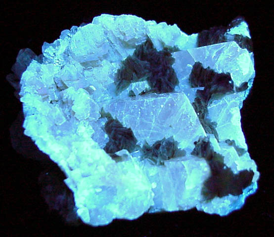 Scheelite with Muscovite and Quartz from Xuebaoding Mountain near Pingwu, Sichuan Province, China