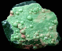 Wavellite from Mount Ida Town Property, Montgomery County, Arkansas