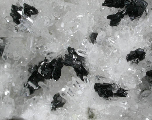 Ilvaite on Quartz from Kurad Quarry, Mumbai (Bombay) District, Maharashtra, India