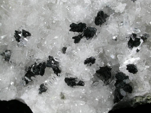 Ilvaite on Quartz from Kurad Quarry, Mumbai (Bombay) District, Maharashtra, India