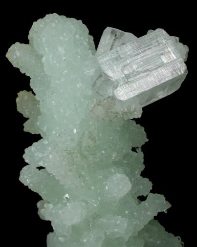 Prehnite pseudomorphs after Laumontite with Apophyllite from Mumbai (Bombay) District, Maharashtra, India