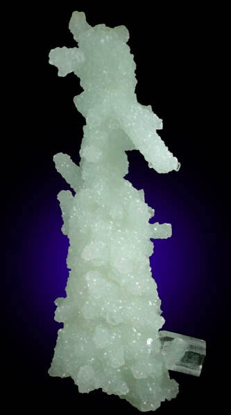 Prehnite pseudomorphs after Laumontite with Apophyllite from Mumbai (Bombay) District, Maharashtra, India