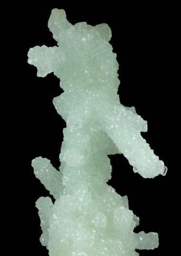 Prehnite pseudomorphs after Laumontite with Apophyllite from Mumbai (Bombay) District, Maharashtra, India