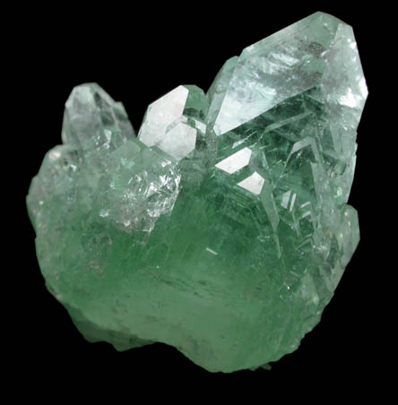 Apophyllite from Pashan Hill Quarry, Maharashtra, India