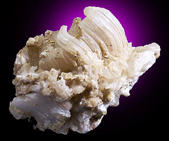 Gypsum var. Selenite from Terlingua District, Brewster County, Texas