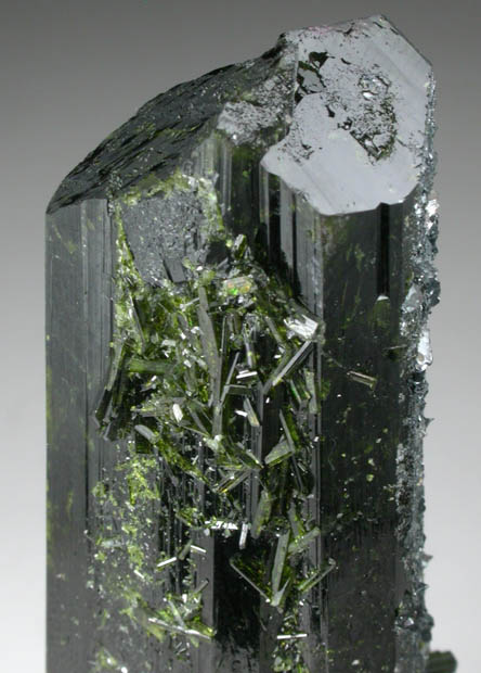 Epidote with Hematite from Pakot, North Eastern Province, Kenya