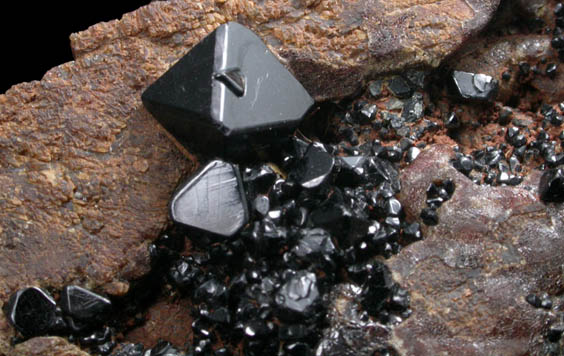 Spinel var. Ferroan Spinel on Forsterite from near Kolonne, Ratnapura District, 20 km NW of Embilipitiya, Sabaragamuwa Province, Sri Lanka