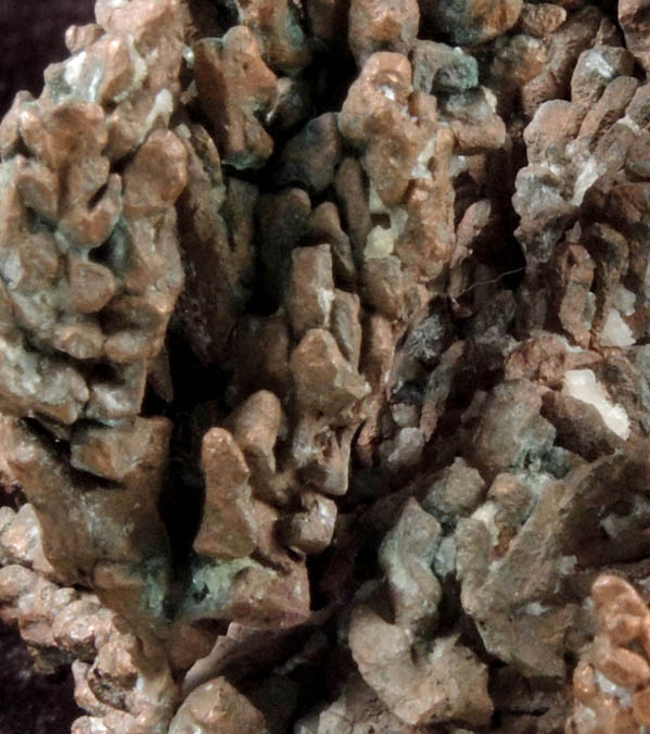Copper (arborescent crystals) from Central Mine, Keweenaw Peninsula Copper District, Michigan