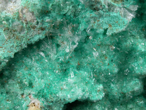 Rosasite and Gypsum var. Selenite from Shell Creek Range, White Pine County, Nevada