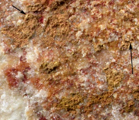 Gold pseudomorphs after Calaverite from Cresson Mine, Altman area, Cripple Creek, Teller County, Colorado