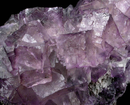 Fluorite from Caldwell Stone Quarry, Danville, Boyle County, Kentucky