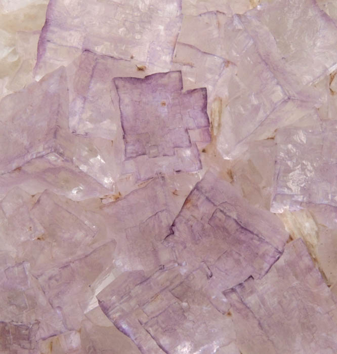 Fluorite on Barite from Caldwell Stone Quarry, Danville, Boyle County, Kentucky