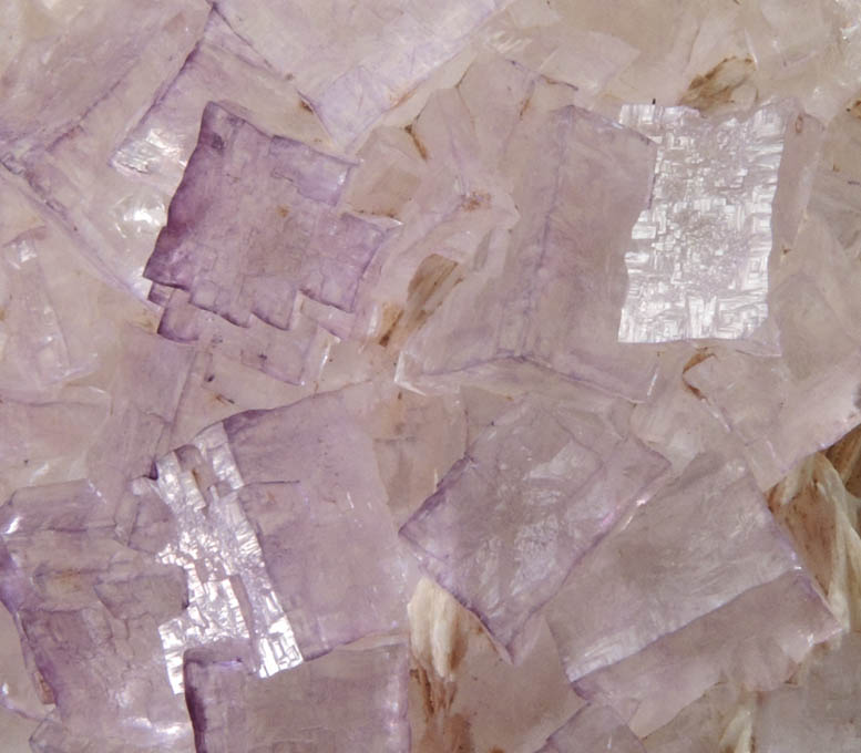 Fluorite on Barite from Caldwell Stone Quarry, Danville, Boyle County, Kentucky