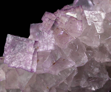 Fluorite from Caldwell Stone Quarry, Danville, Boyle County, Kentucky