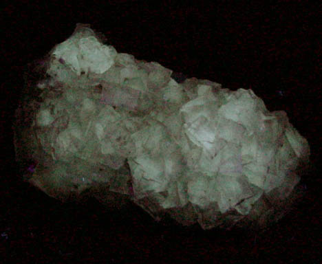 Fluorite from Caldwell Stone Quarry, Danville, Boyle County, Kentucky