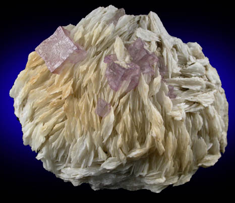 Barite with Fluorite from Caldwell Stone Quarry, Danville, Boyle County, Kentucky