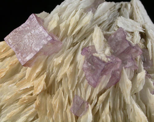 Barite with Fluorite from Caldwell Stone Quarry, Danville, Boyle County, Kentucky