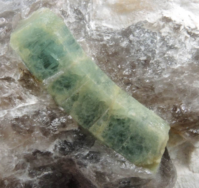 Beryl var. Aquamarine in Quartz and Albite from Beryl Hill, Amos Cunningham Farm, Due West, Abbeville County, South Carolina