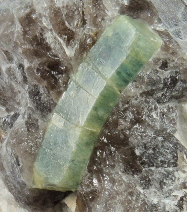 Beryl var. Aquamarine in Quartz and Albite from Beryl Hill, Amos Cunningham Farm, Due West, Abbeville County, South Carolina