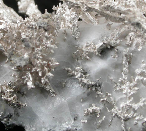 Silver in Calcite from Andres del Rio District, Batopilas, Chihuahua, Mexico