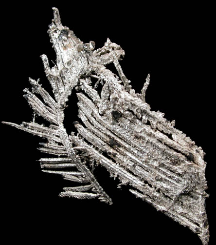 Silver from Andres del Rio District, Batopilas, Chihuahua, Mexico