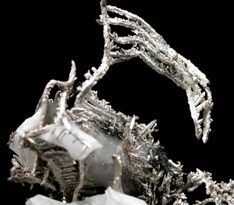 Silver in Calcite from Andres del Rio District, Batopilas, Chihuahua, Mexico