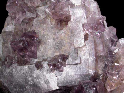 Fluorite with Galena from Blackdene Mine, Ireshopeburn, Weardale, County Durham, England