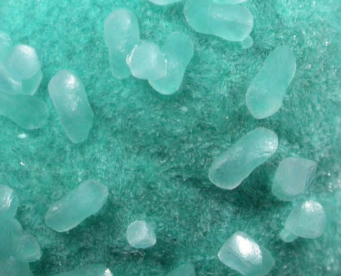 Smithsonite on Aurichalcite from Kelly Mine, Magdalena District, Socorro County, New Mexico