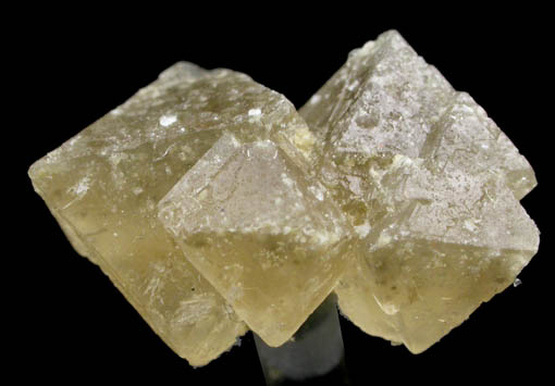 Sulphohalite from Searles Lake, east of Trona, San Bernardino County, California (Type Locality for Sulphohalite)