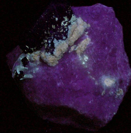 Lazurite var. Lapis Lazuli from Sar-e-sang, Kokscha Valley, Badakshan, Afghanistan (Type Locality for Lazurite)