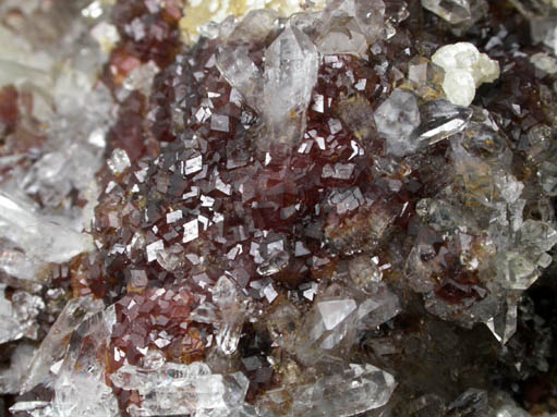 Andradite Garnet with Quartz and Calcite from El Mochito Mine, near Lake Yojoa, Santa Barbara, Honduras