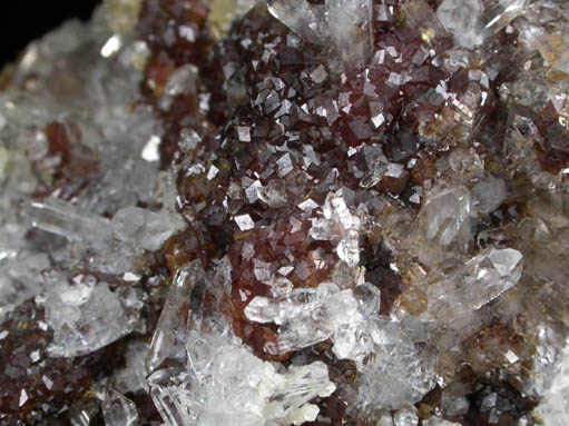 Andradite Garnet with Quartz and Calcite from El Mochito Mine, near Lake Yojoa, Santa Barbara, Honduras