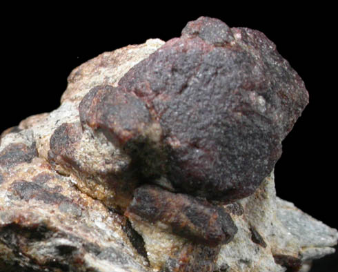 Almandine Garnet with Staurolite from Green's Farm, 750 m. ESE of Roxbury Falls, Roxbury, New Haven County, Connecticut