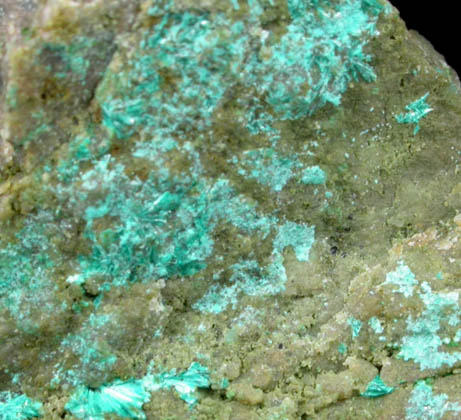 Tyrolite from Novovesk Huta, Koice, Spisk Nov Ves, Slovak Republic (Slovakia)