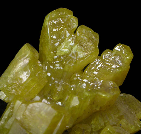 Pyromorphite from Bunker Hill Mine, Coeur d'Alene District, Shoshone County, Idaho