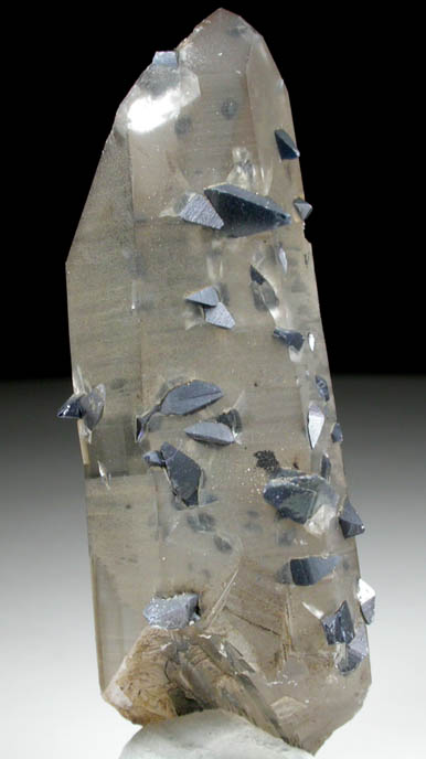 Anatase on Quartz from Matskorhae, Hardangervidda, Ullensvang Statsallmenning, Hordaland, Norway