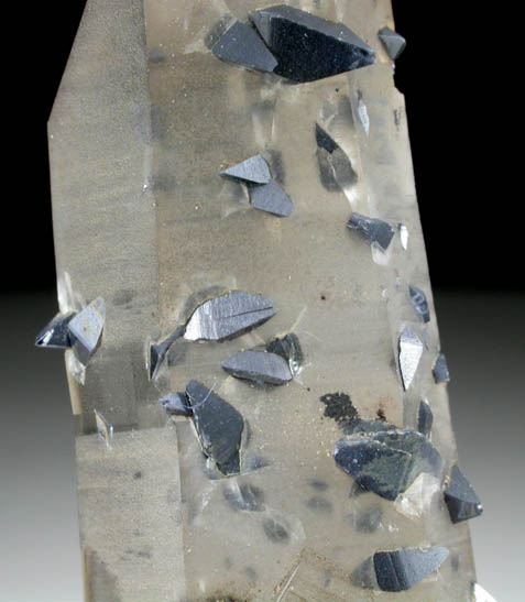 Anatase on Quartz from Matskorhae, Hardangervidda, Ullensvang Statsallmenning, Hordaland, Norway