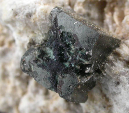 Bixbyite from Route 59 road cut, 32 km west of Winston, Sierra County, New Mexico