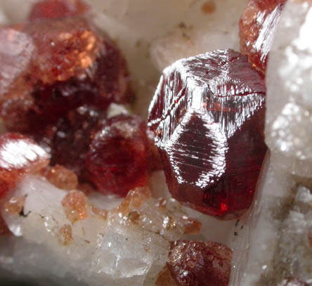 Spessartine-Grossular Garnet on Albite, Quartz, Schorl from Pakora, near Apaligun, Braldu Valley, Baltistan, Gilgit-Baltistan, Pakistan