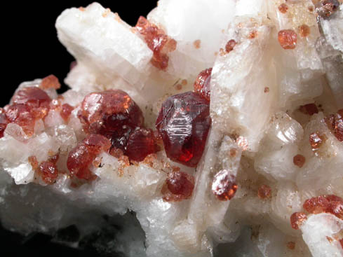 Spessartine-Grossular Garnet on Albite, Quartz, Schorl from Pakora, near Apaligun, Braldu Valley, Baltistan, Gilgit-Baltistan, Pakistan