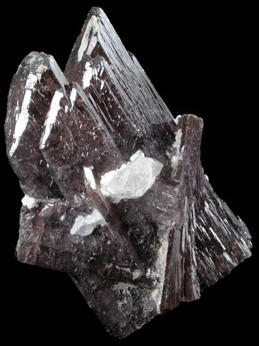 Axinite-(Fe) from Khapalu, Ghanche District, Gilgit-Baltistan, Pakistan
