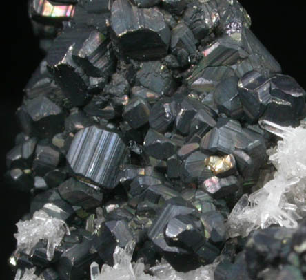 Pyrite and Quartz from Butte Mining District, Summit Valley, Silver Bow County, Montana