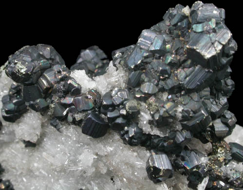 Pyrite and Quartz from Butte Mining District, Summit Valley, Silver Bow County, Montana